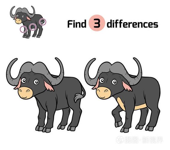 发现不同之处,非洲水牛
