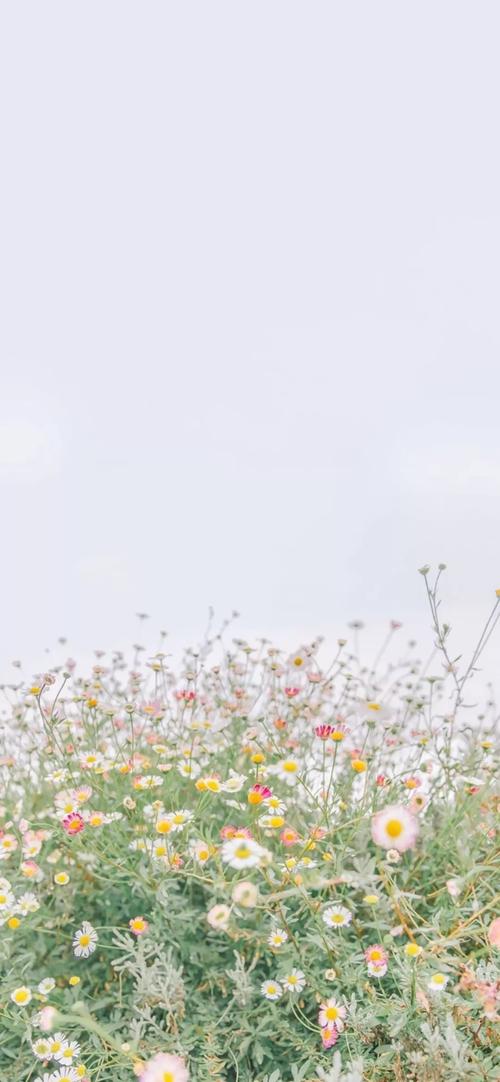 手机壁纸|淡蓝色系|小清新|唯美