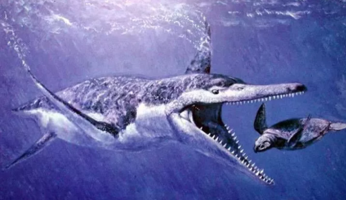 十大海洋恐龙带你了解侏罗纪中的沧龙