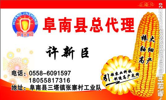 玉米种名片图片