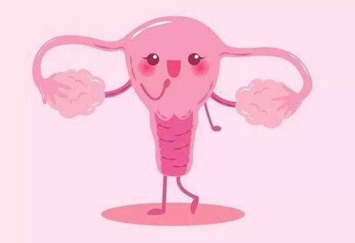 女性大健康,我们是专业的 子宫发育异常是生殖器畸形中的一种.