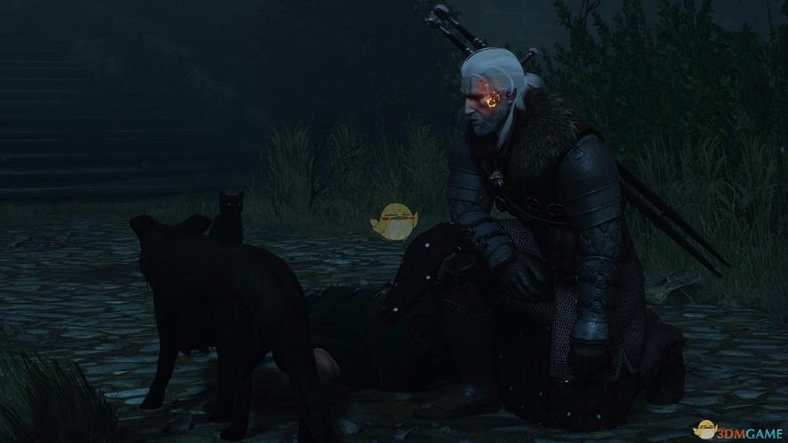巫师3狂猎杰洛特脸部印记发光mod