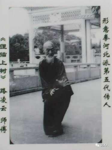 形意拳大师尚云祥高足路凌云的一组拳照,老前辈气势非凡!