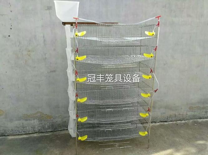 鹌鹑笼直立阶梯鹌鹑集蛋笼鹌鹑养殖设备