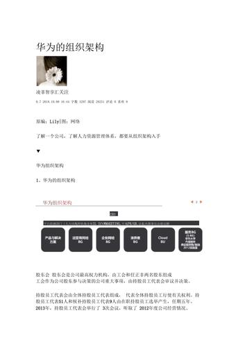 华为的组织架构