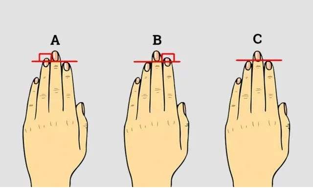 食指与无名指长短对比揭露你的个性是男脑还是女脑