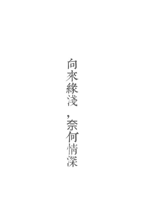 向来缘浅,奈何情深
