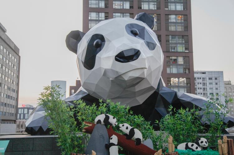8月 成都 ifs的熊猫