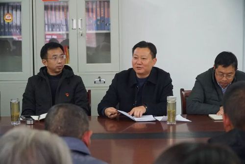 新县县委常委,组织部长黄永林到吴陈河镇石湾村开展"昼访夜谈"活动
