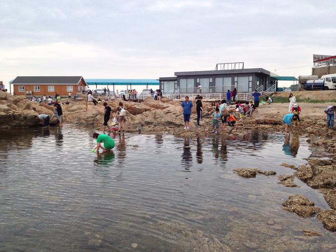 捉蟹                                               北戴河东海滩