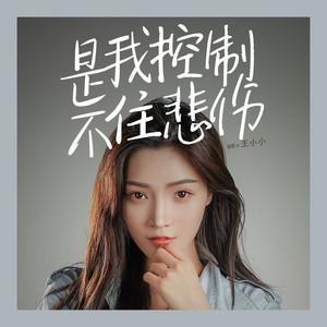 是我控制不住悲伤 - 王小小 - qq音乐-千万正版音乐曲