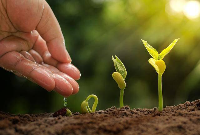 商道法则:反者道之动,弱者道之用