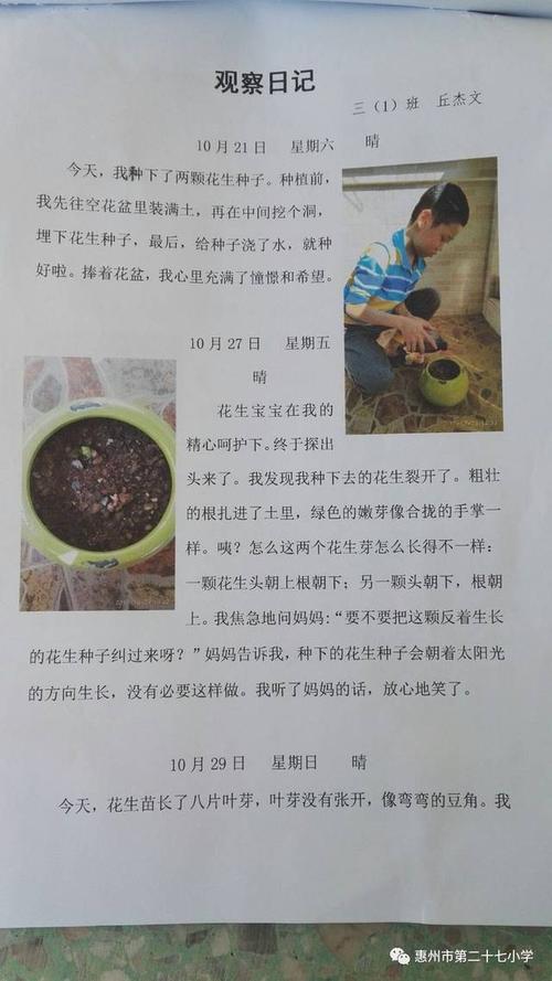 生命的期盼一一植物种植观察日记活动