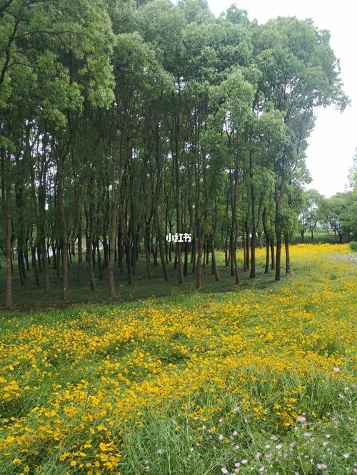吴江～万公堤_万公堤_旅行_苏州旅行_出行_人文风光