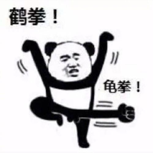 熊猫头表情包:功夫警告,鹤拳龟拳大象拳警告