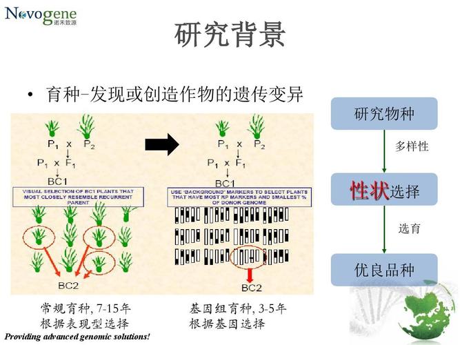 基于高通量测序的分子育种研究