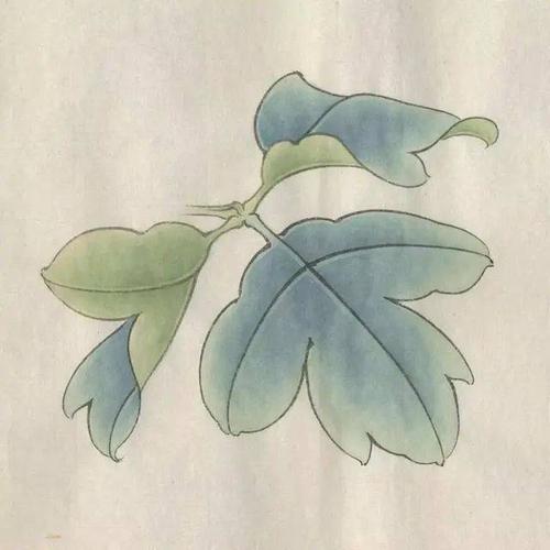 工笔画牡丹花房,花蕊,叶子,枝干的画法及设色