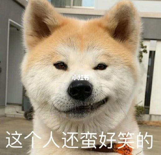 不要不开心(71)_表情包_我最爱的表情包_素材_表情包