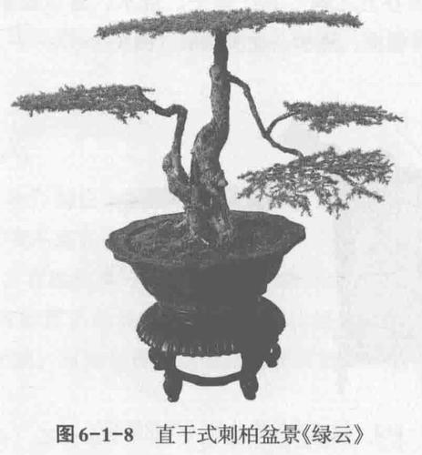 扬派盆景制作技艺(2)扬派盆景十种造型形式
