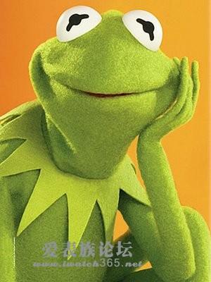 终于捉到一支青蛙