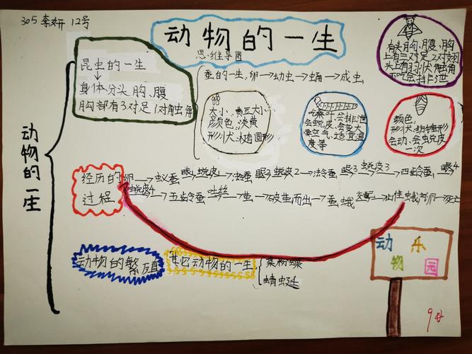 三下《动物的一生》思维导图
