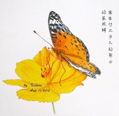 既然不是毛毛虫就要壮烈的扑火(卡达经典40色水溶彩铅 白色卡纸)