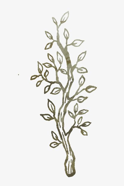 手绘树枝