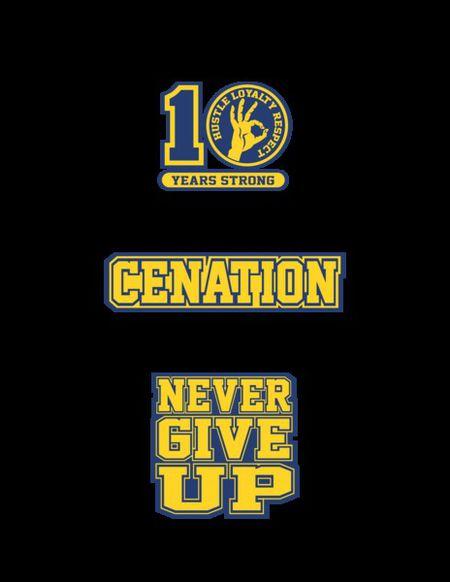 现在有没有 wwe13 约翰塞纳的 最新 标志 什么的