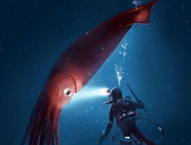 深海的怪兽决斗:抹香鲸大战巨乌贼,场面好似科幻片!