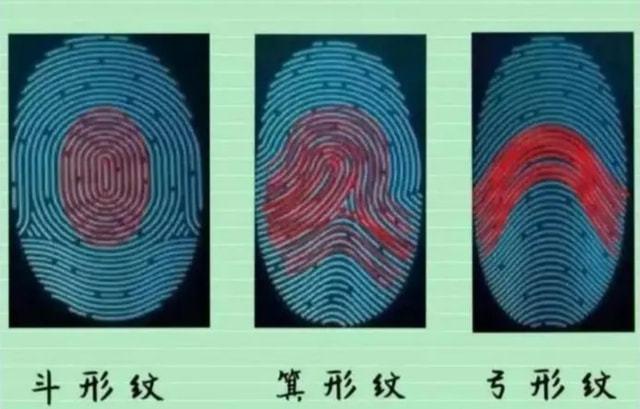 康熙10个"簸箕",科学家发现斗与簸箕的奥秘|指纹识别|手印|手掌纹
