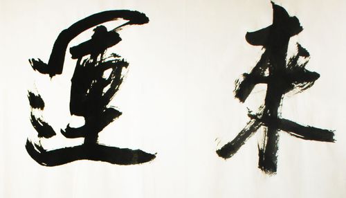 当代中国书坛八大家 沙二海书法 《时来运转》