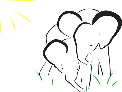 大象,矢量,插画,两只,象