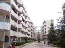 广丰实验学校|3|10