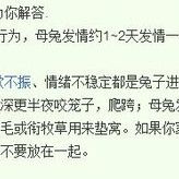 【all羊】睡前一污的整理(合并)