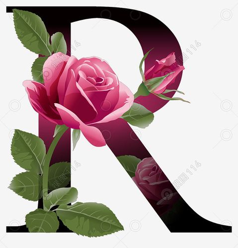 鲜花花纹字母r