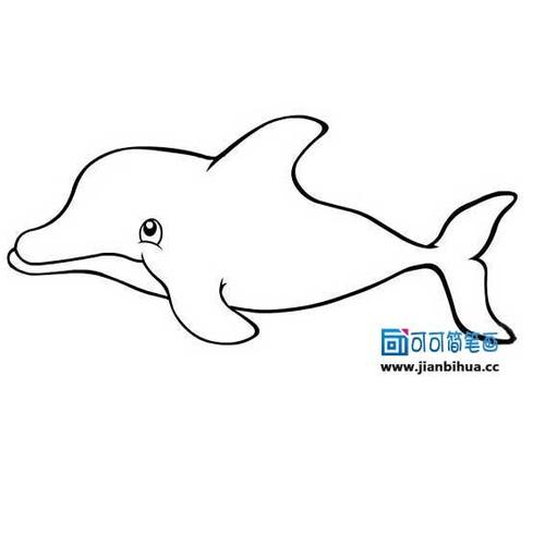 简笔画动物海豚
