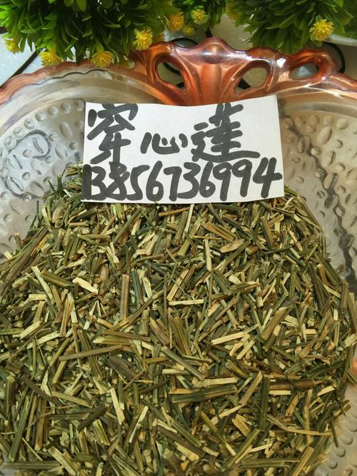 优质正品中药材批发 穿心莲 一见喜 无硫