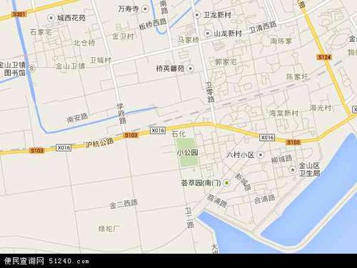 中国上海市金山区石化地图(卫星地图)