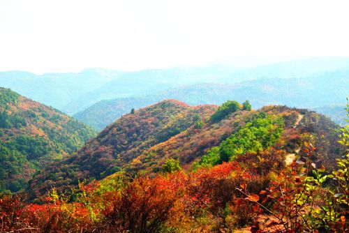 铜川耀县香山漫山红叶 秋色迷人