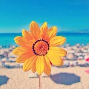 积极阳光微信头像图片