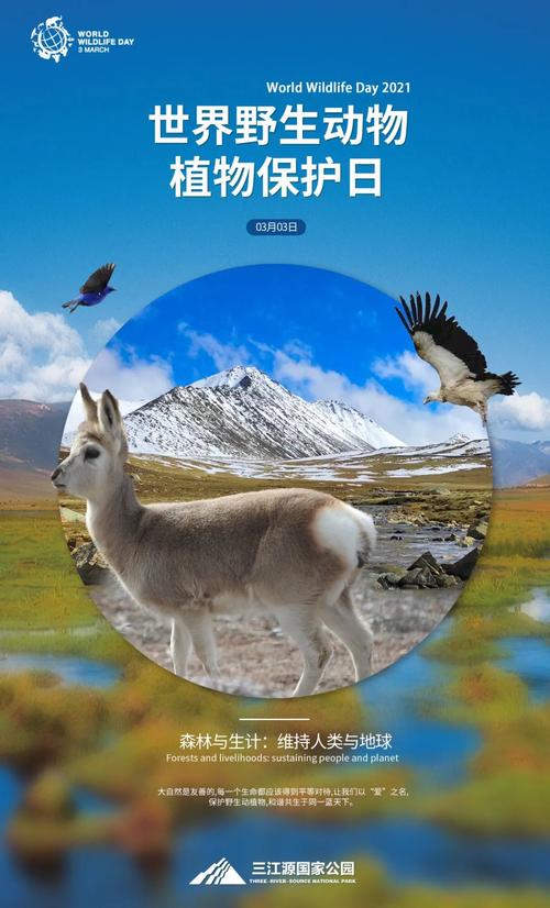 2021世界野生动植物日