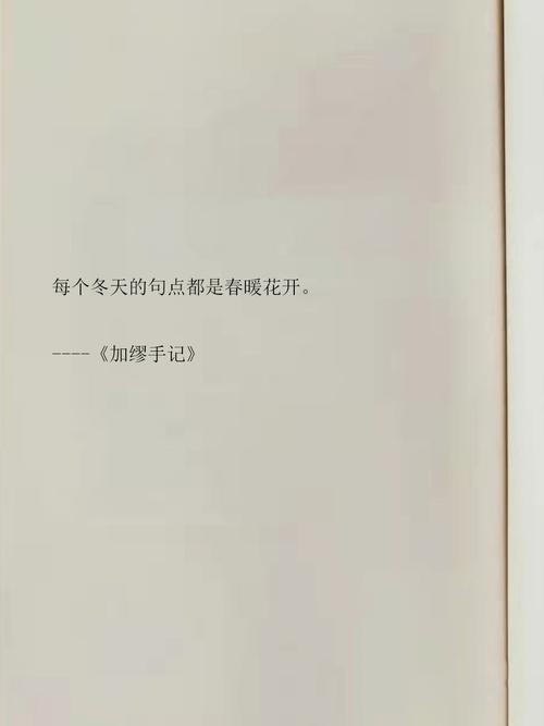 40句描写冬天的宝藏句子值得摘抄收藏