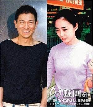 刘德华斑马照风靡网络 育婴天际屋带私人泳池