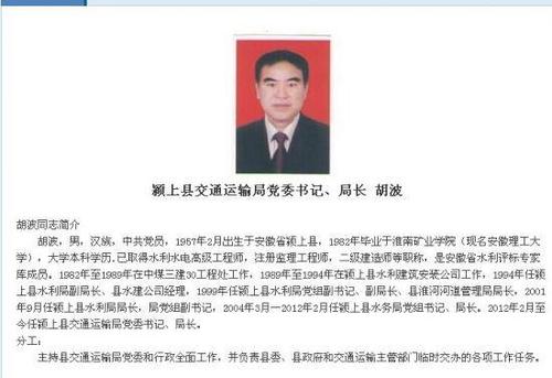 胡波官方网站简历