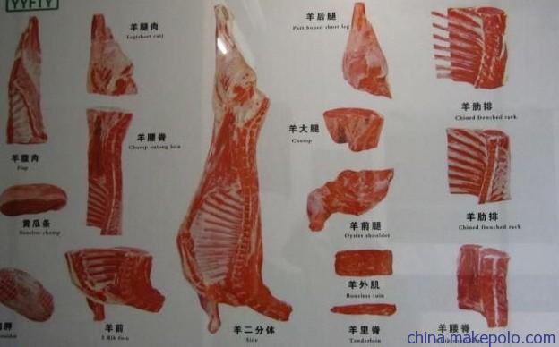 盐池滩羊肉分割图