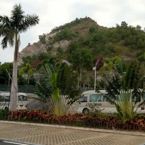 12.20海南三亚乐东黎族自治县九所镇山海韵龙栖湾风景