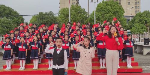 新县新星小学举行"红领巾心向党"主题大队会