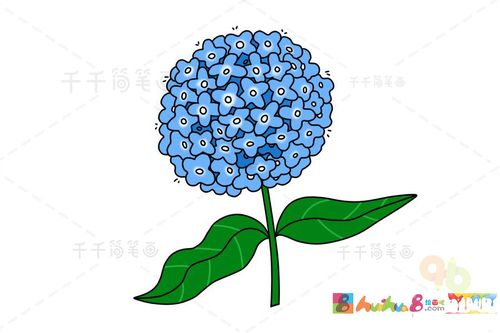 绣球花简笔画 简单易学