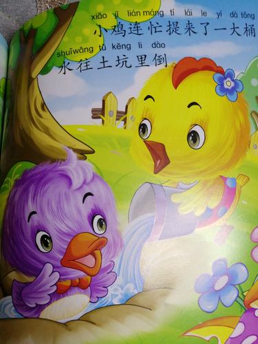 绘本故事《小鸡和小鸭》