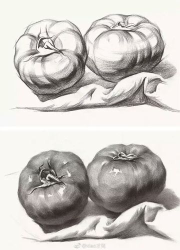 素描静物明暗组合